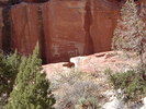 photo thumbnail #12