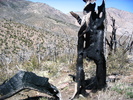 photo thumbnail #8