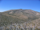 photo thumbnail #9