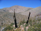 photo thumbnail #10