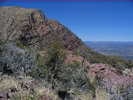 photo thumbnail #14