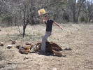 photo thumbnail #2