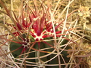 photo thumbnail #6