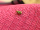 photo thumbnail #7