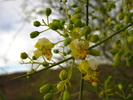 Featured Detail Photo