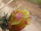 photo thumbnail #15