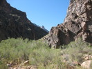 photo thumbnail #15