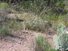 photo thumbnail #6