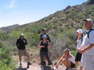 photo thumbnail #8