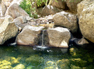photo thumbnail #9