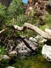photo thumbnail #12