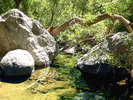 photo thumbnail #15