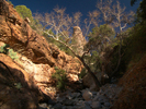 photo thumbnail #8