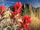 photo thumbnail #15