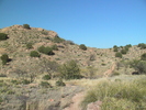 photo thumbnail #1