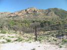 photo thumbnail #2