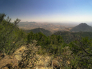 photo thumbnail #12