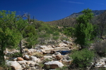 photo thumbnail #2