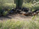 photo thumbnail #14