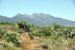 photo thumbnail #10