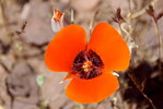 photo thumbnail #15