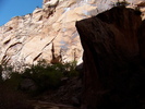 photo thumbnail #8
