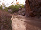 photo thumbnail #9