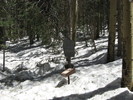 photo thumbnail #2