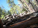 photo thumbnail #9