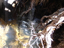 photo thumbnail #10