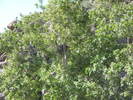 photo thumbnail #11