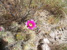 photo thumbnail #12