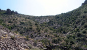 photo thumbnail #9