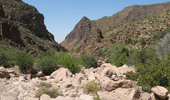 photo thumbnail #12