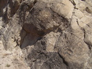photo thumbnail #15