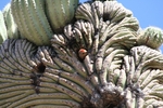 photo thumbnail #1