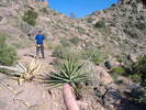 photo thumbnail #5