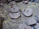 photo thumbnail #13