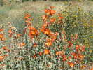 photo thumbnail #6
