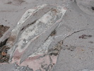 photo thumbnail #13