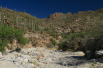 photo thumbnail #3