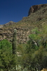 photo thumbnail #12