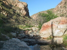 photo thumbnail #3