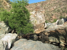 photo thumbnail #8