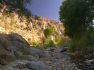 photo thumbnail #11