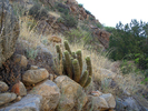 photo thumbnail #12