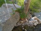 photo thumbnail #13