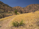 photo thumbnail #4