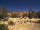 photo thumbnail #8