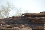 photo thumbnail #5